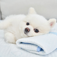 Gallery viewerに画像を読み込む, NEW|即納【Bailey】SNOW TEDDY COOLING MAT|S,M size
