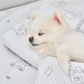 Gallery viewerに画像を読み込む, NEW|即納【Bailey】SNOW TEDDY COOLING MAT|S,M size