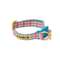 Gallery viewerに画像を読み込む, NEW|即納【iCANDOR】Gentle Collar Dual|Edinburgh Check ※LIMITED COLOR