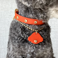 Gallery viewerに画像を読み込む, 即納【🇰🇷BERRY MARCH 】Stella Collar-Mandarin