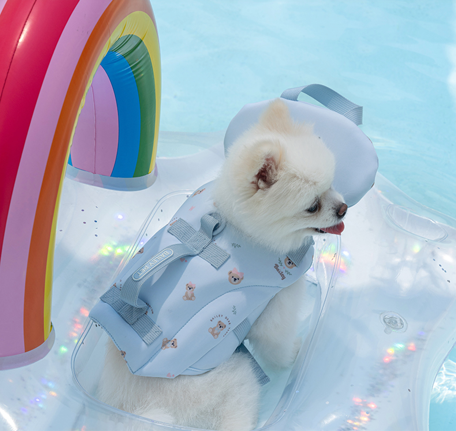 GALFY レーシングジャケット 大型犬 水色 ガルフィー 123019[19