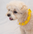 Gallery viewerに画像を読み込む, NEW|即納【Bailey】ICE NECK COOLER|DAISY(防虫・蓄光)