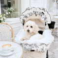 Gallery viewerに画像を読み込む, NEW|即納【auntmimi】DURARON® Guard Cushion | Toile de Jouy Gray
