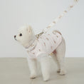 Gallery viewerに画像を読み込む, 予約商品【Bailey】TEDDY Walky Leash|Pink