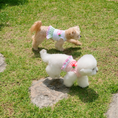 Gallery viewerに画像を読み込む, COMING SOON【It's Sunny Outside】Fresh Cool Summer OPS