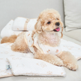 Gallery viewerに画像を読み込む, NEW|即納【Bailey】SNOW TEDDY COOLING MAT|S,M size