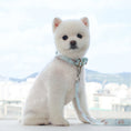 Gallery viewerに画像を読み込む, 予約商品【Bailey】TeddyWalky Leash|Mint