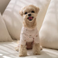 Gallery viewerに画像を読み込む, ★予約商品【正規取扱店】Bailey Pet TEDDY オールインワン