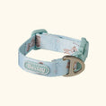 Gallery viewerに画像を読み込む, 予約商品【Bailey】Teddy Walky Collar|Mint