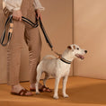 Gallery viewerに画像を読み込む, 🇮🇹予約商品🇮🇹 正規取扱店【2.8】FRANCO- TRAINING LEASH 2WAY