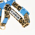 Gallery viewerに画像を読み込む, 即納【iCANDOR 】No-Pull Harness|LEOPARD