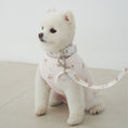 Gallery viewerに画像を読み込む, 予約商品【Bailey】TEDDY Walky Leash|Pink