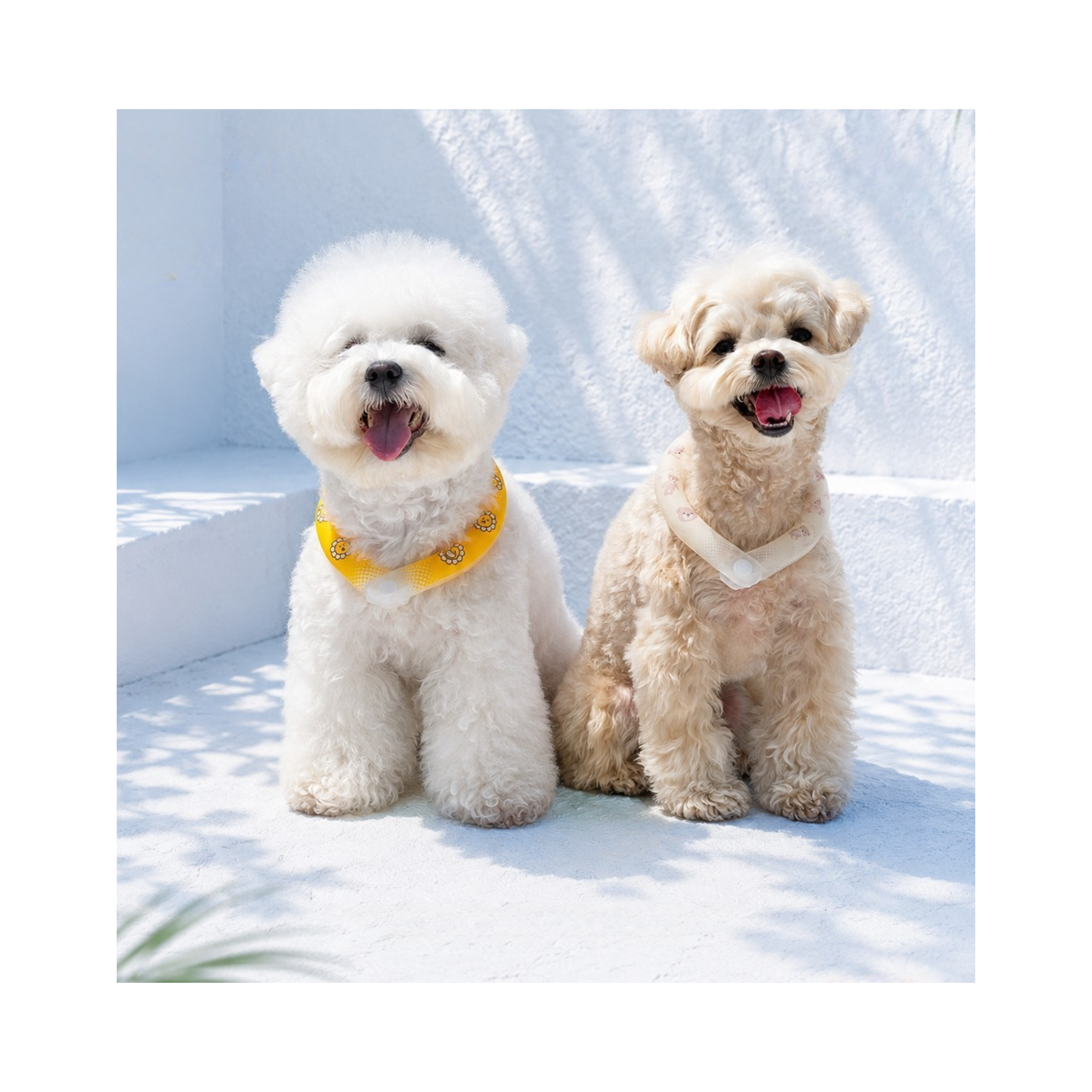 NEW｜即納【Bailey】ICE NECK COOLER｜DAISY（防虫・蓄光）※S,M,L size