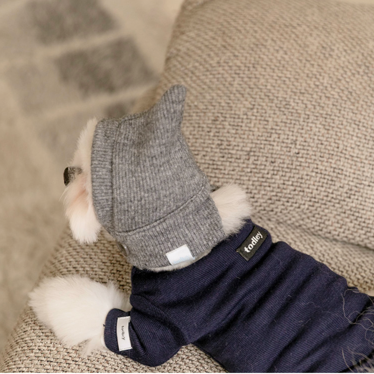 NEW｜即納【todley】Mignon Balaclava