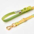 Gallery viewerに画像を読み込む, ★即納【正規販売店】iCANDOR  Gentle Leash Bolt＿BIG FISH YELLOW
