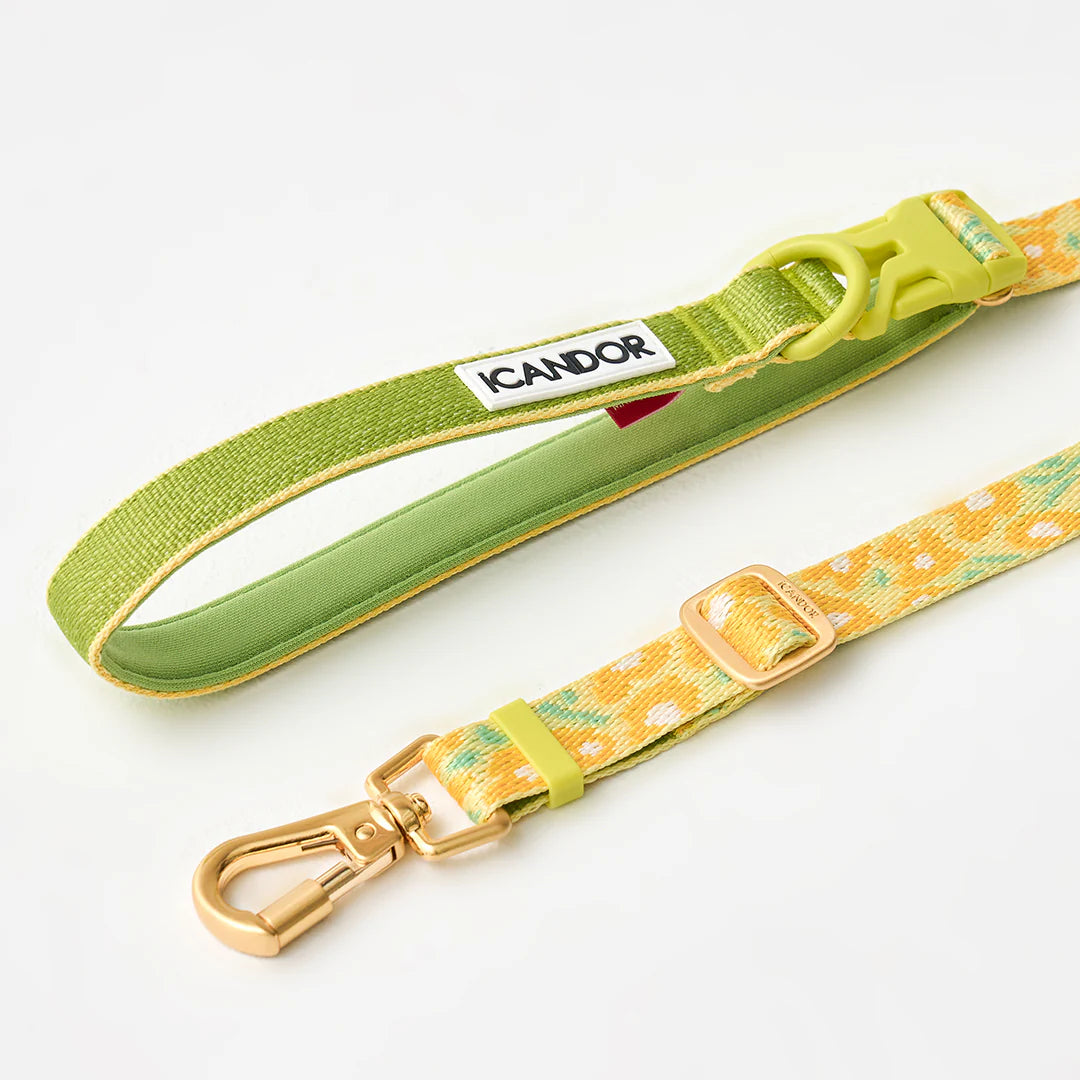 ★即納【正規販売店】iCANDOR  Gentle Leash Bolt＿BIG FISH YELLOW