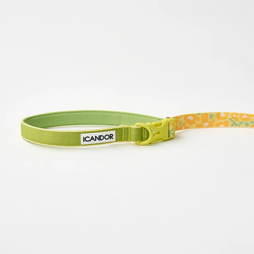 ★即納【正規販売店】iCANDOR  Gentle Leash Bolt＿BIG FISH YELLOW