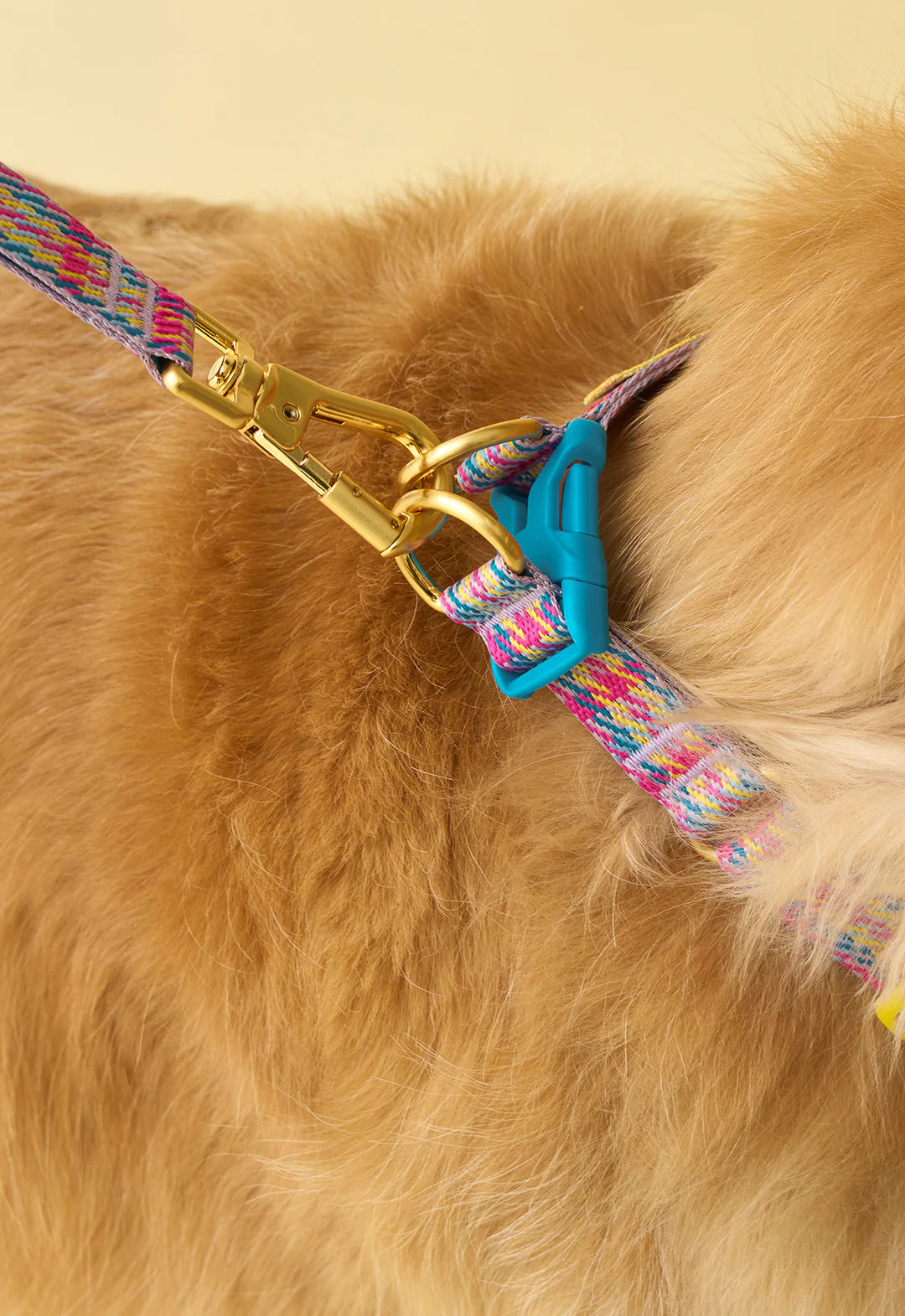 NEW｜即納【iCANDOR】Gentle Collar Dual｜Edinburgh Check 　※LIMITED COLOR