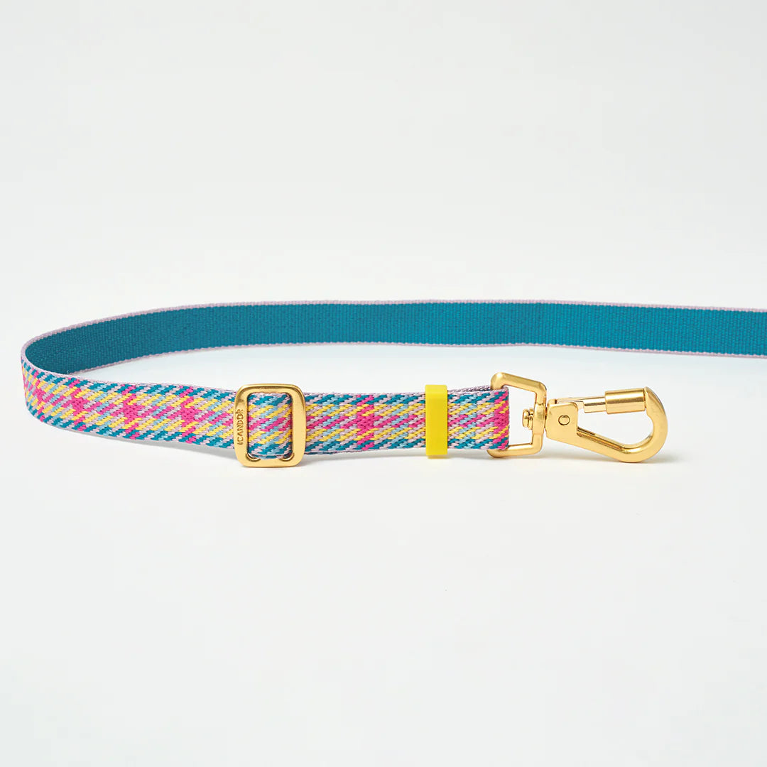 NEW｜即納【iCANDOR 】Gentle Leash Bolt Long｜ Edinburgh Check  ※LIMITED COLOR