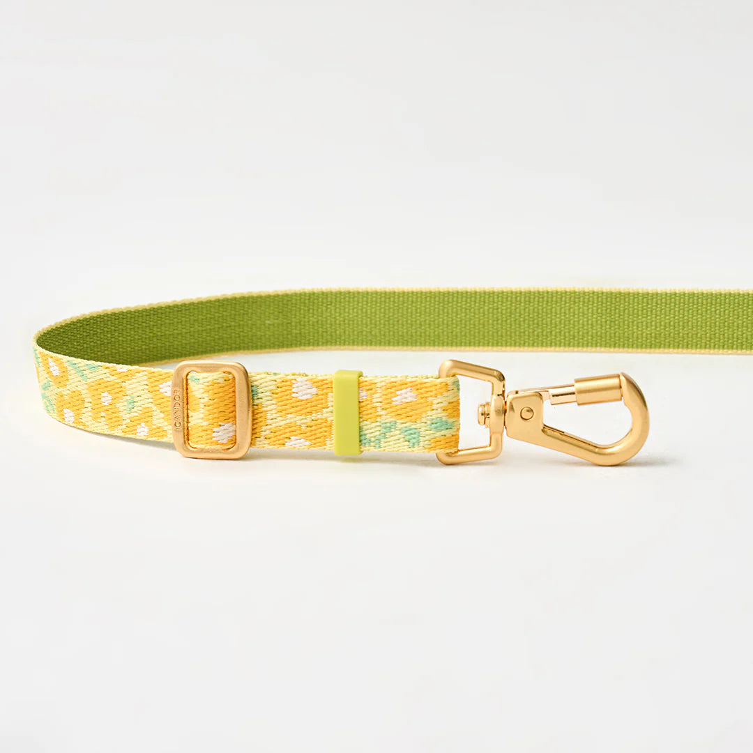 ★即納【正規販売店】iCANDOR  Gentle Leash Bolt＿BIG FISH YELLOW