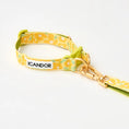 Gallery viewerに画像を読み込む, ★即納【正規販売店】iCANDOR  Gentle Leash Bolt＿BIG FISH YELLOW
