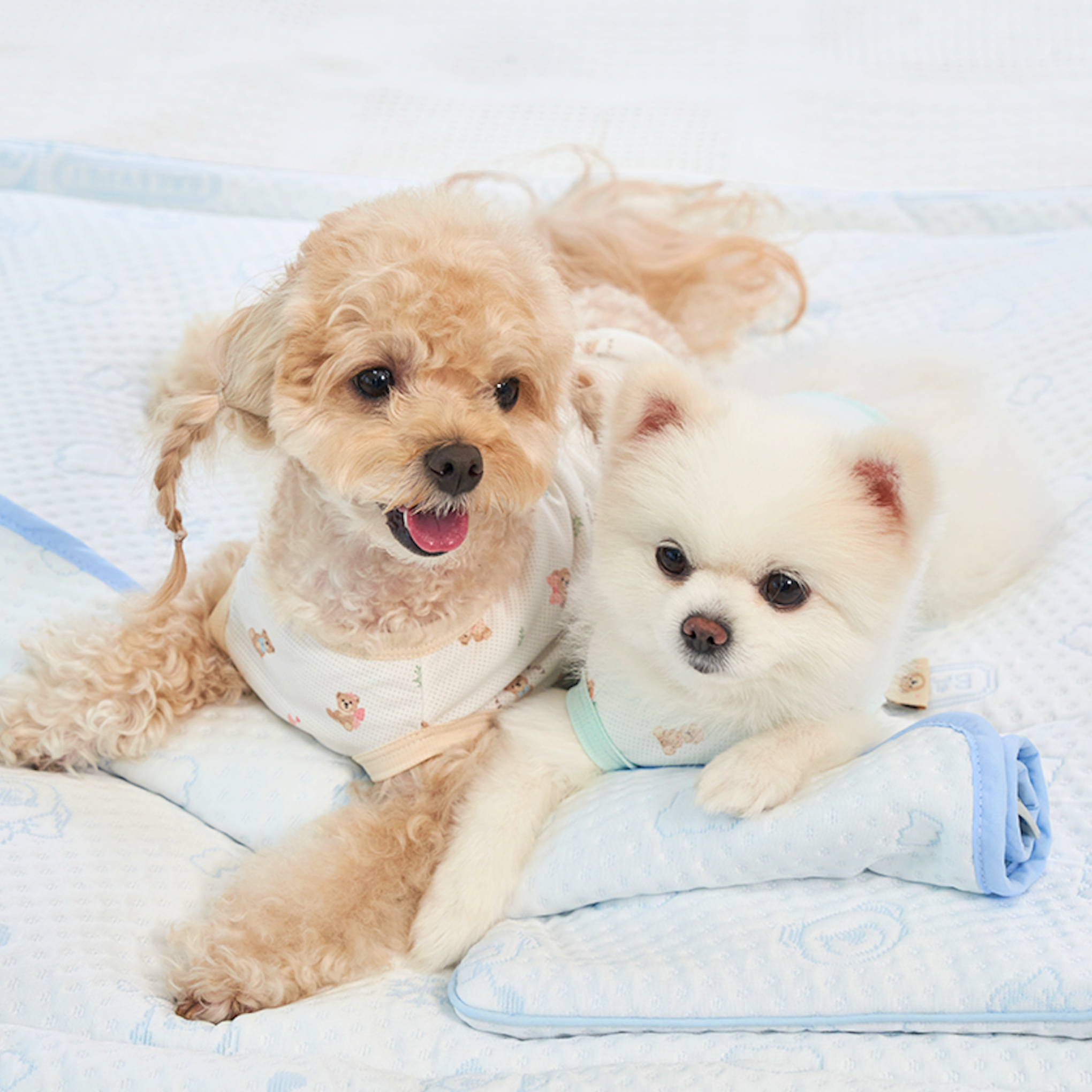 NEW｜即納【Bailey】SNOW TEDDY COOLING MAT｜S,M size