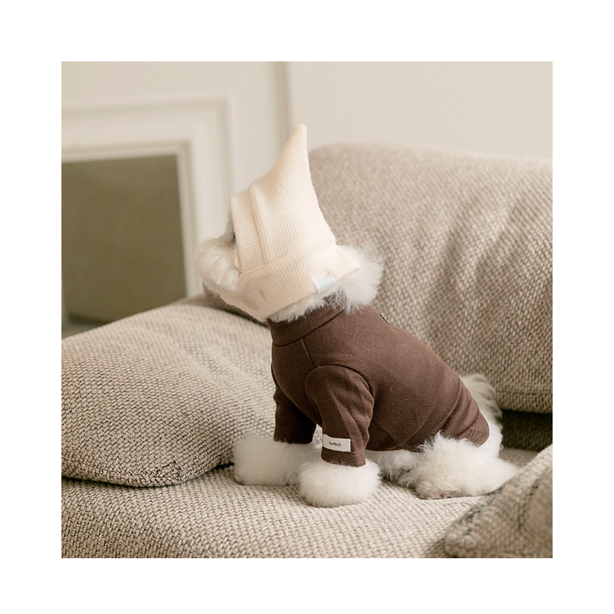 NEW｜即納【todley】New Turtleneck｜Brown