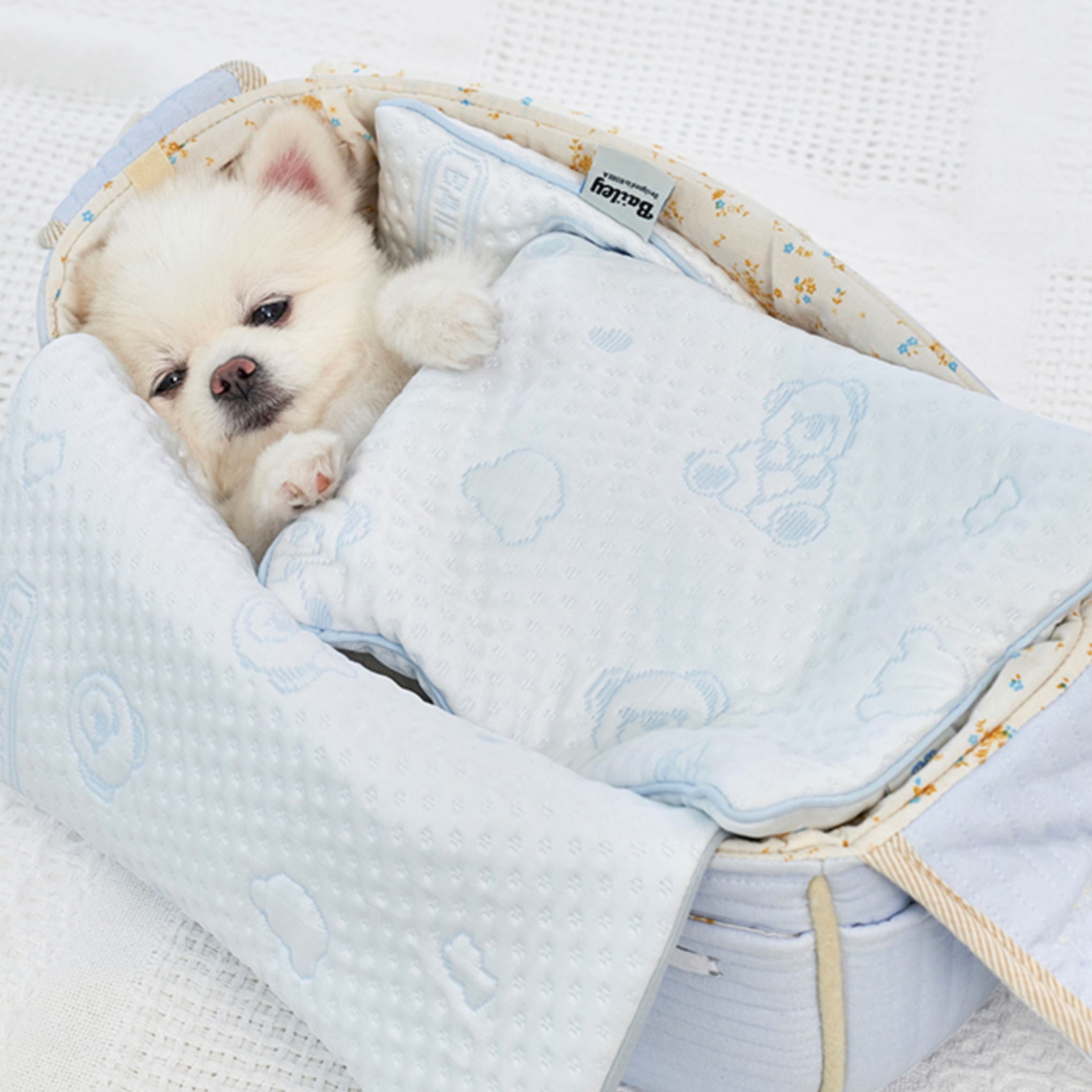 NEW｜即納【Bailey】SNOW TEDDY COOLING MAT｜S,M size