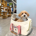 Gallery viewerに画像を読み込む, NEW｜即納【iCANDOR】Peek-A-Boo Bag ｜Capri Edition　※M.L size
