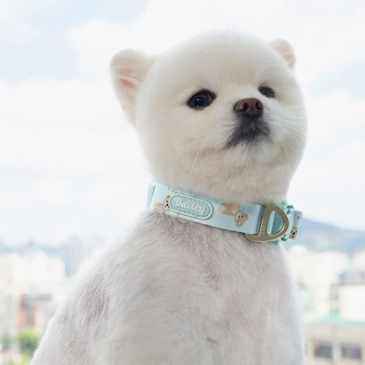 ★NEW★【予約商品】🧸Bailey Pet  TEDDYウォーキーcollarr_ミント