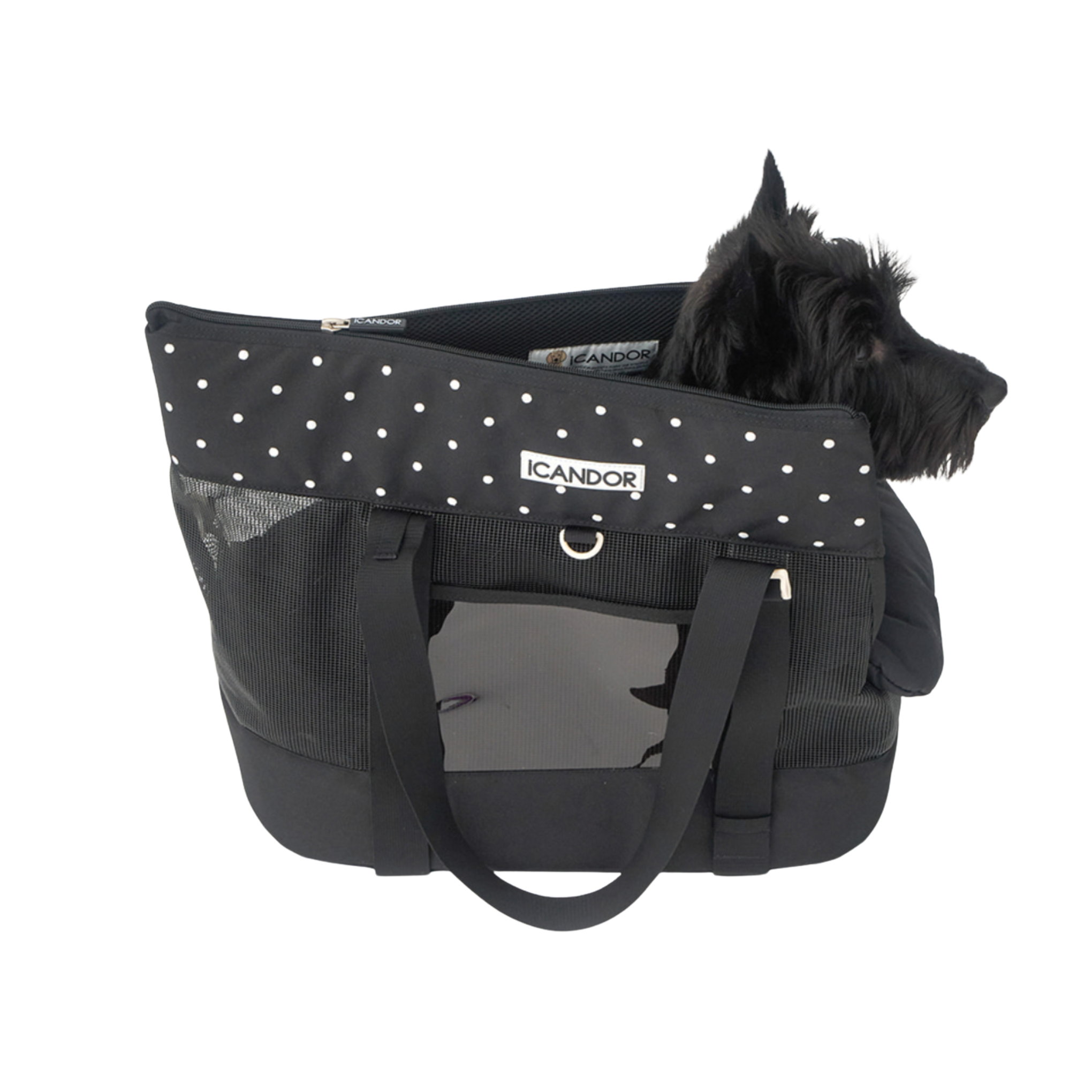 NEW｜予約商品【iCANDOR】Brisbane Bag｜ Capri Black  ※M,L,XL