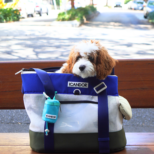 PET CARRY – SHINY DOG CLOSET