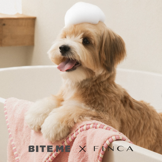 ★即納【BITE ME】FINCA×BITE ME ドライミーペットタオル （Bigサイズ・Miniサイズ）