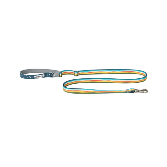 NEW｜即納【iCANDOR】Gentle Leash Bolt Long｜ RIPPLE