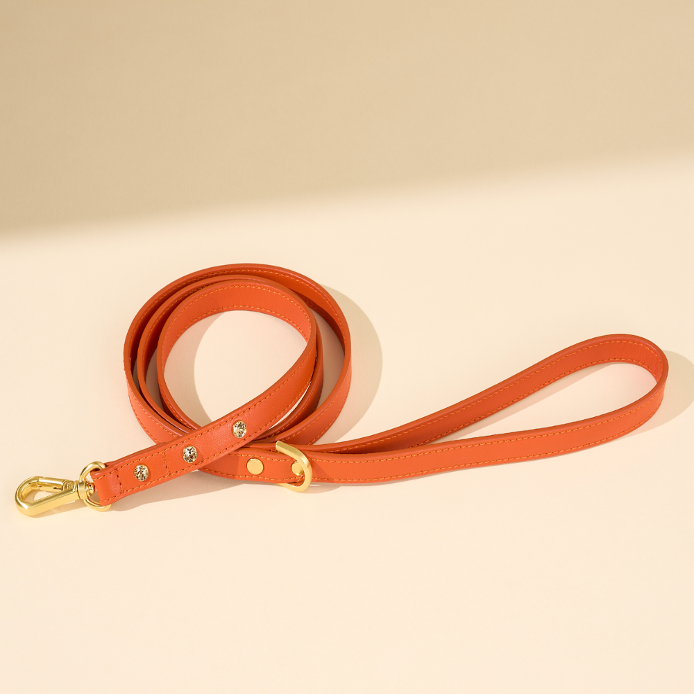 即納【🇰🇷 BERRY MARCH】Stella leash-Mandarin