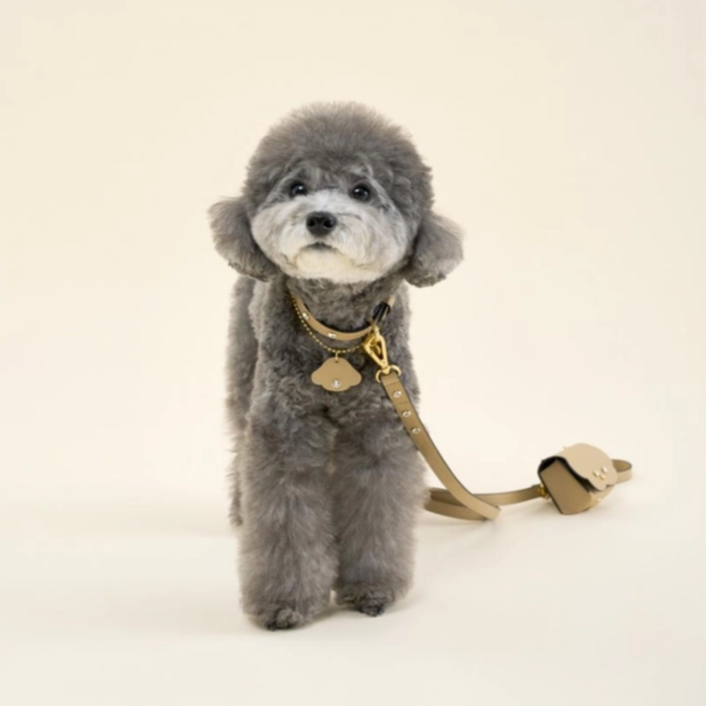 即納【🇰🇷BERRY MARCH】Stella Collar- Champagne Beige