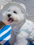 Gallery viewerに画像を読み込む, 即納【Bailey】Cooling Teddy Cap｜ Sky
