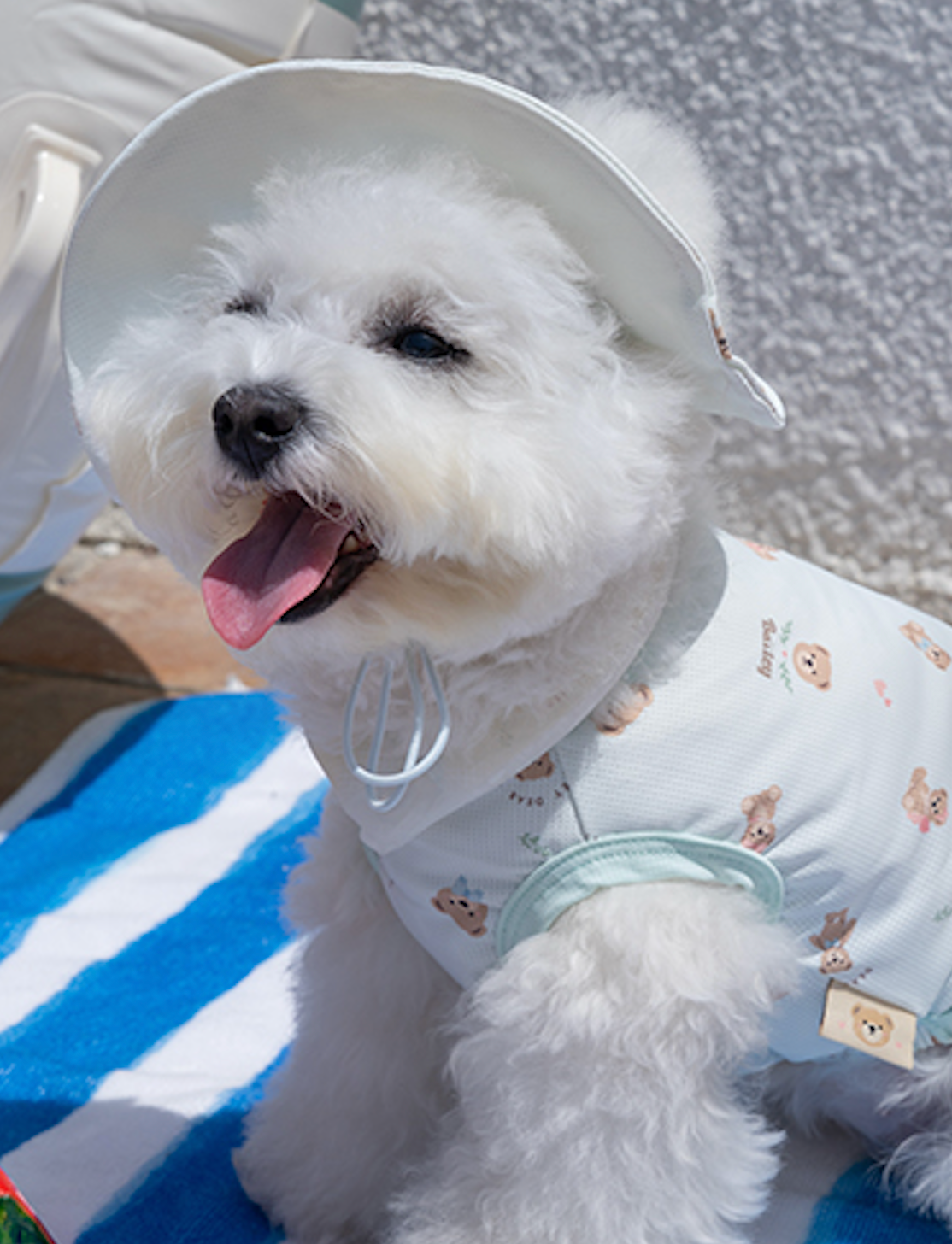 即納【Bailey】Cooling Teddy Cap｜ Sky