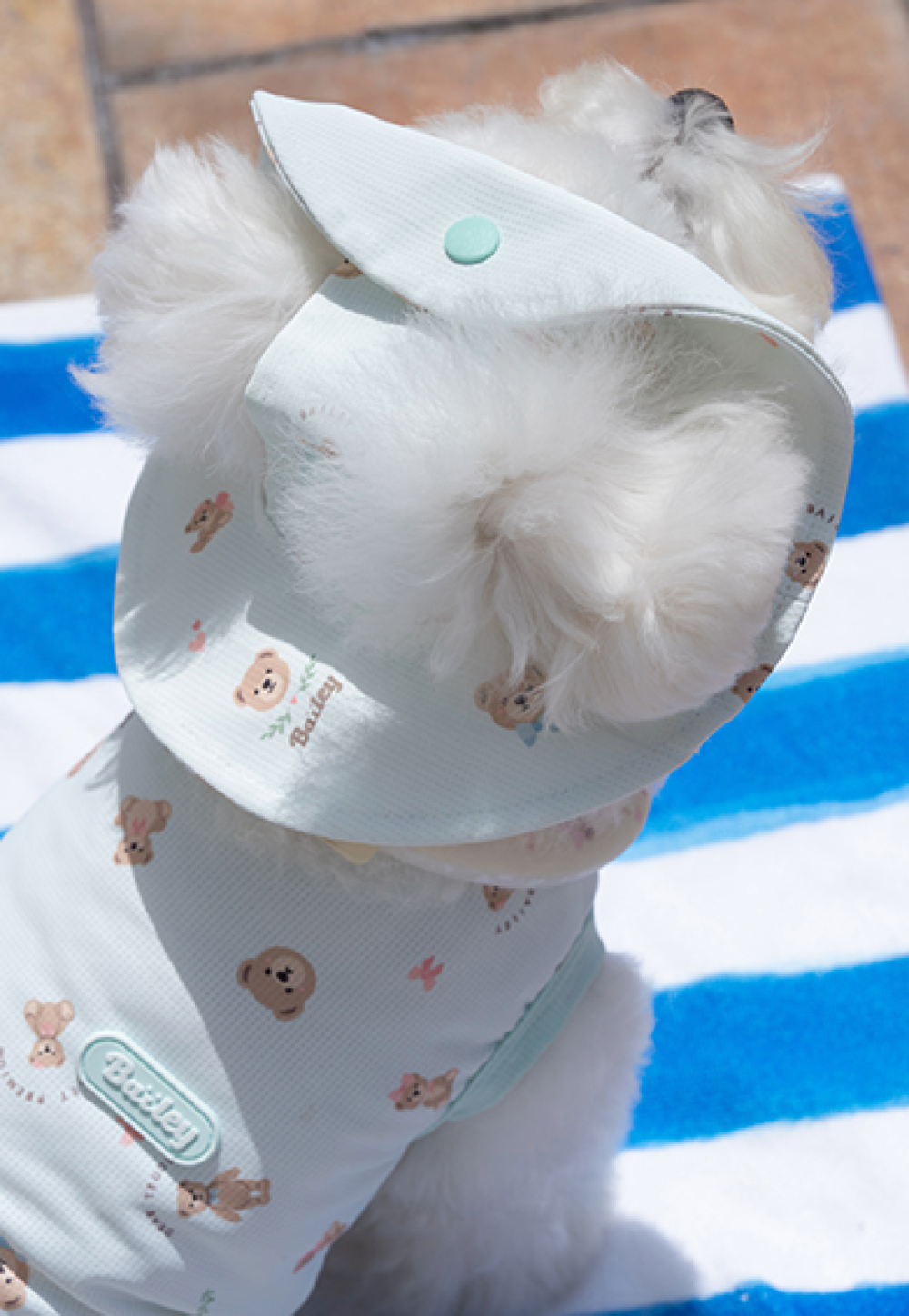 即納【Bailey】Cooling Teddy Cap｜ Sky