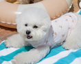 Gallery viewerに画像を読み込む, ★即納【正規販売店】Bailey クーリング バグガード スリーブレス_ピンク
