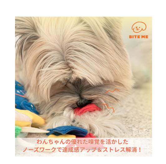 🇰🇷即納【BITE ME】ノーズワークプレイブック  洗濯の日