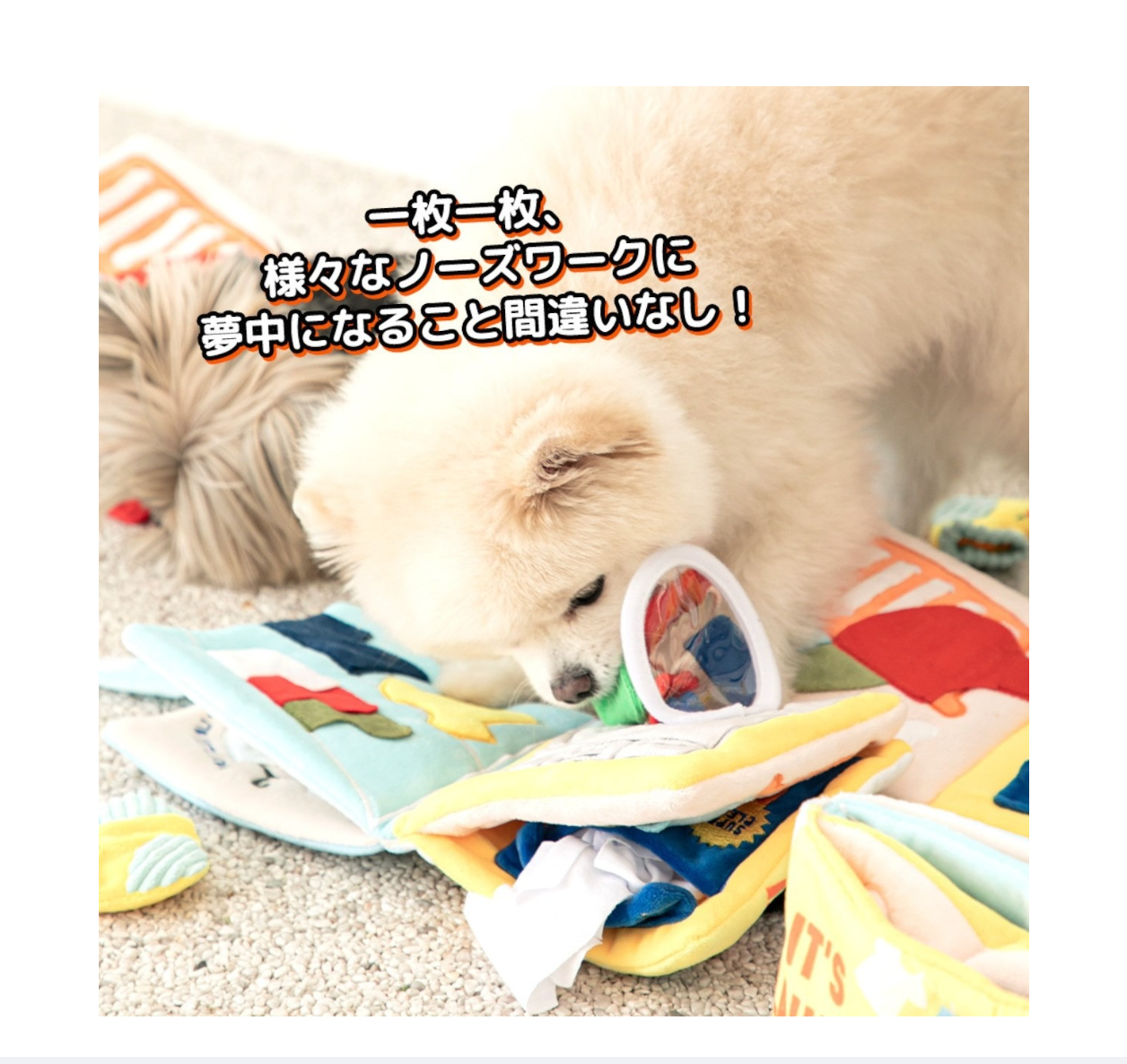 🇰🇷即納【BITE ME】ノーズワークプレイブック  洗濯の日