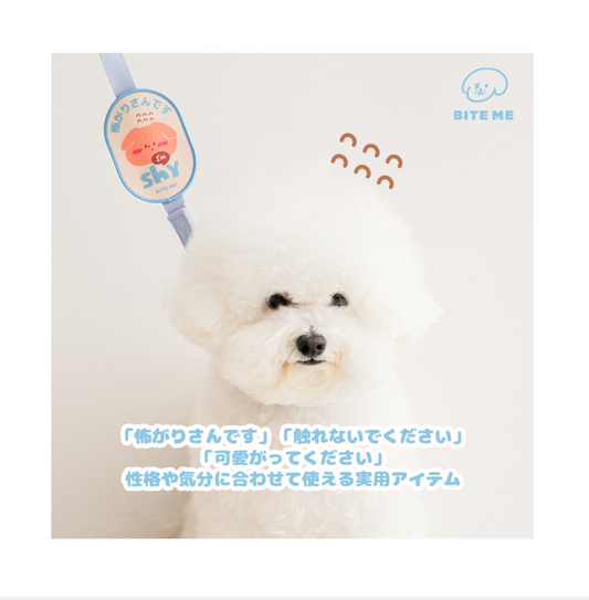 即納　【日本限定発売】BITE ME お散歩ワッペン