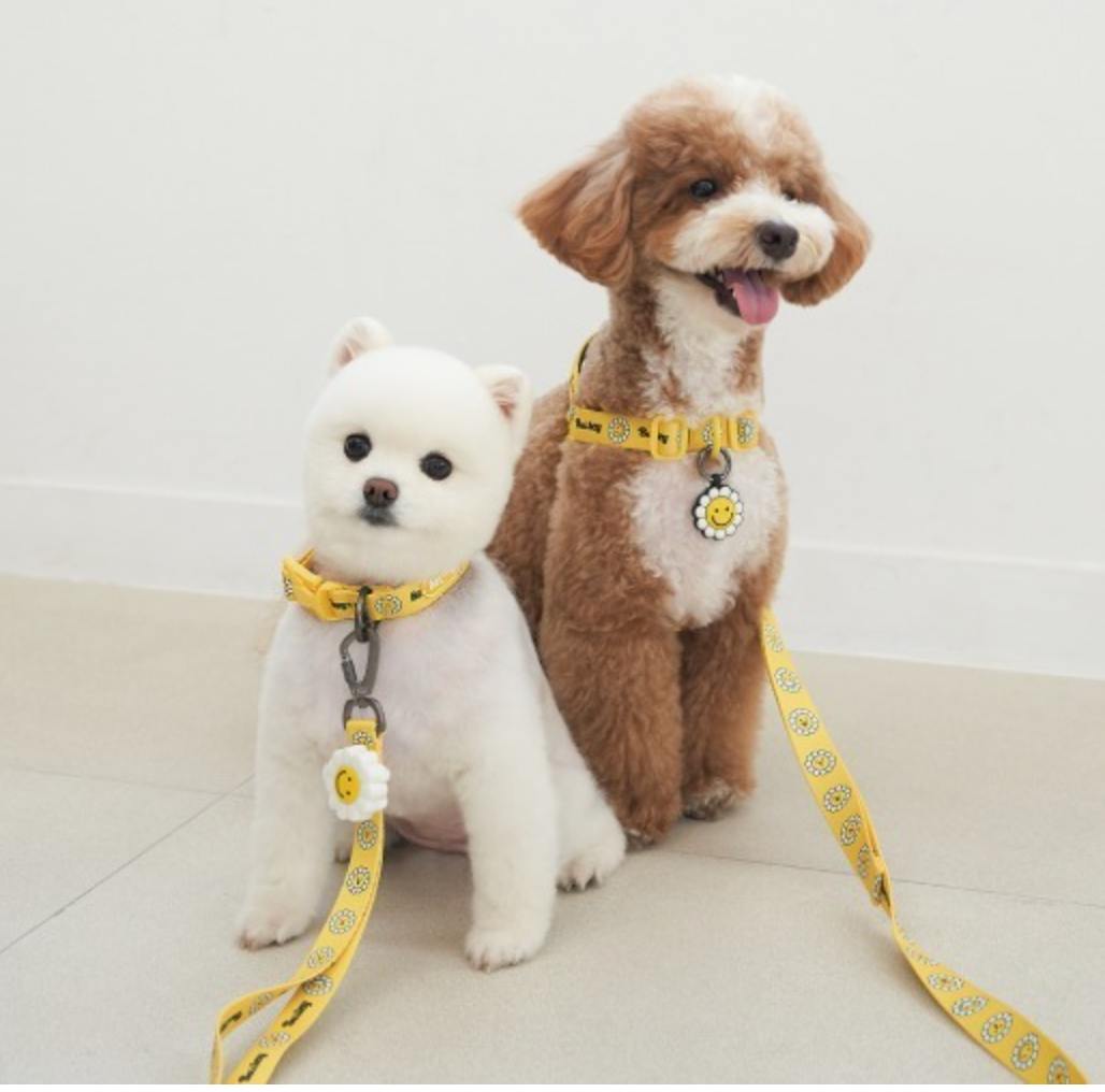 ★NEW★即納【Bailey Pet】LED　Blinker