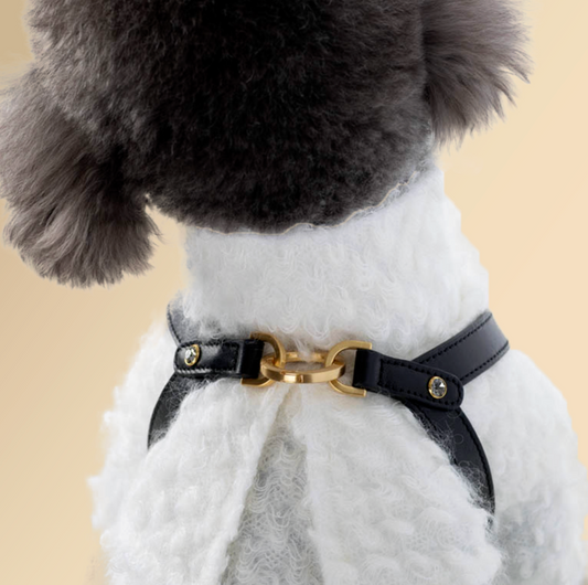 ★予約商品★　日本初上陸！　正規販売店【🇰🇷BERRY MARCH】 INFINITY HARNESS _THE BLACK