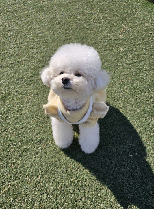 ★予約商品★ 日本初上陸！正規販売店【🇰🇷BERRY MARCH】 INFINITY HARNESS_PURE WHITE