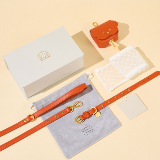 ★予約商品★【🇰🇷BERRY MARCH】STELLA  GIFT BOX　