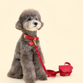Gallery viewerに画像を読み込む, ★予約商品【🇰🇷 BERRY MARCH】Stella leash-Santa Red
