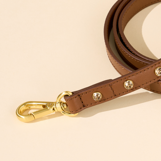 ★予約商品【🇰🇷 BERRY MARCH】Stella leash-LION