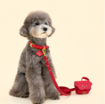 Gallery viewerに画像を読み込む, ★予約商品【🇰🇷BERRY MARCH 】Stella Collar-Santa Red
